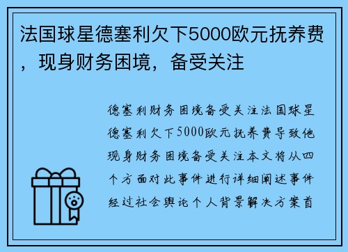 法国球星德塞利欠下5000欧元抚养费，现身财务困境，备受关注